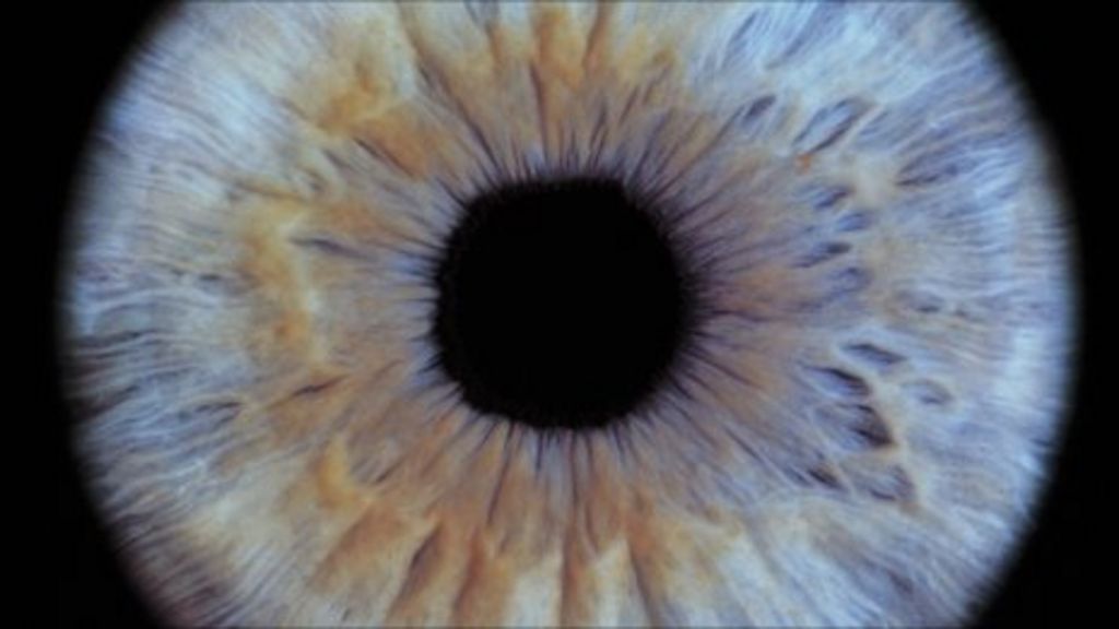 Human eye protein senses Earth's BBC News