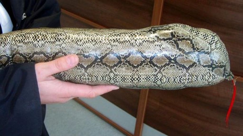 'Snake' found in Kingswells loft turned out to be draught excluder