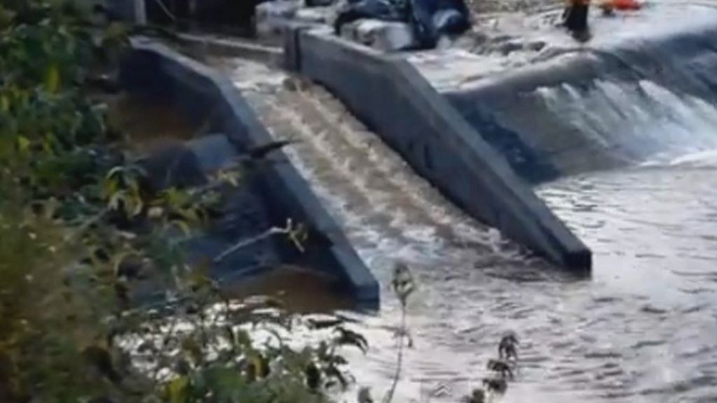 River Don 'fish pass' reopens spawning grounds BBC News