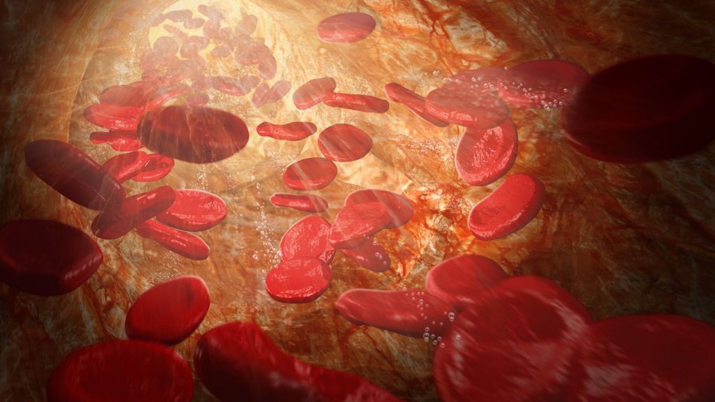 stem-cells-being-made-from-blood-bbc-news