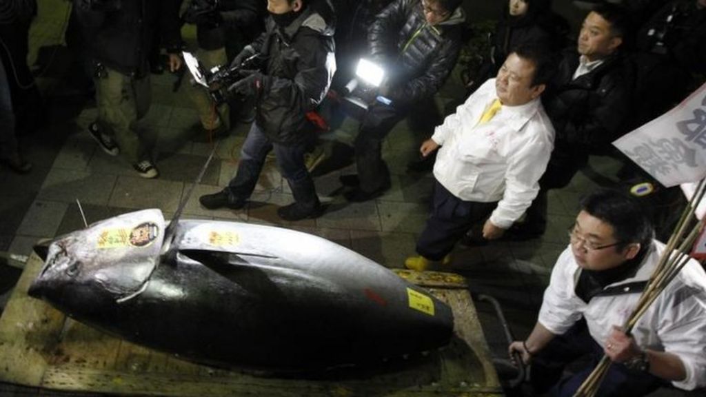 Japan bluefin tuna fetches record 1.7m BBC News