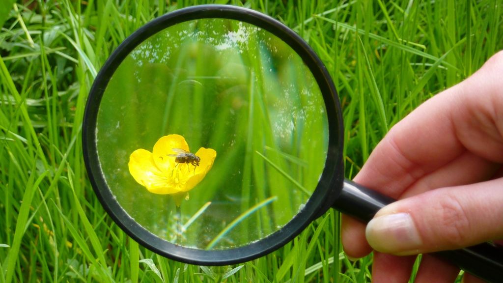 Citizen science project goes UK-wide