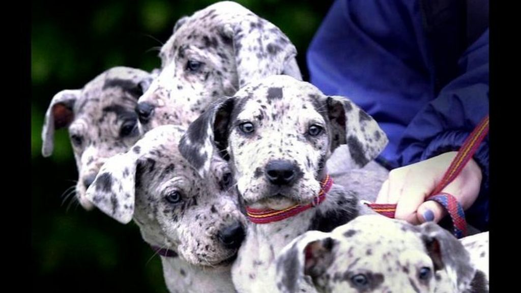 msimn.exe a rencontre un probleme