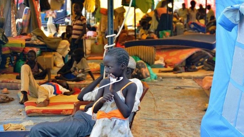 Direct Talks On South Sudan Open In Ethiopia - BBC News