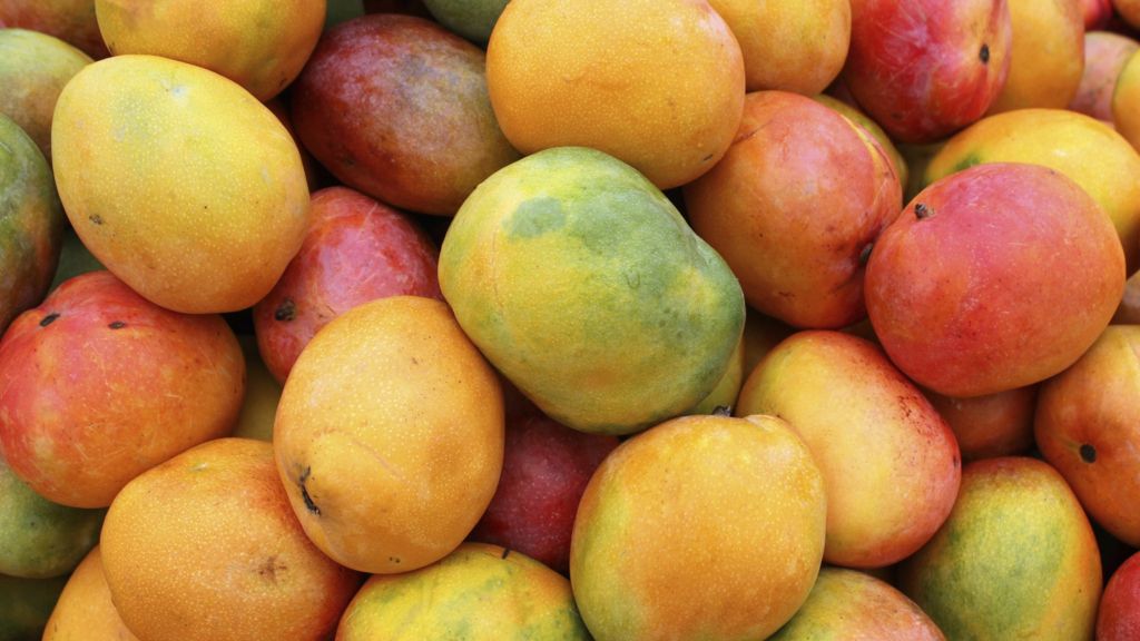Who, What, Why Why are Indian mangoes so popular? BBC News