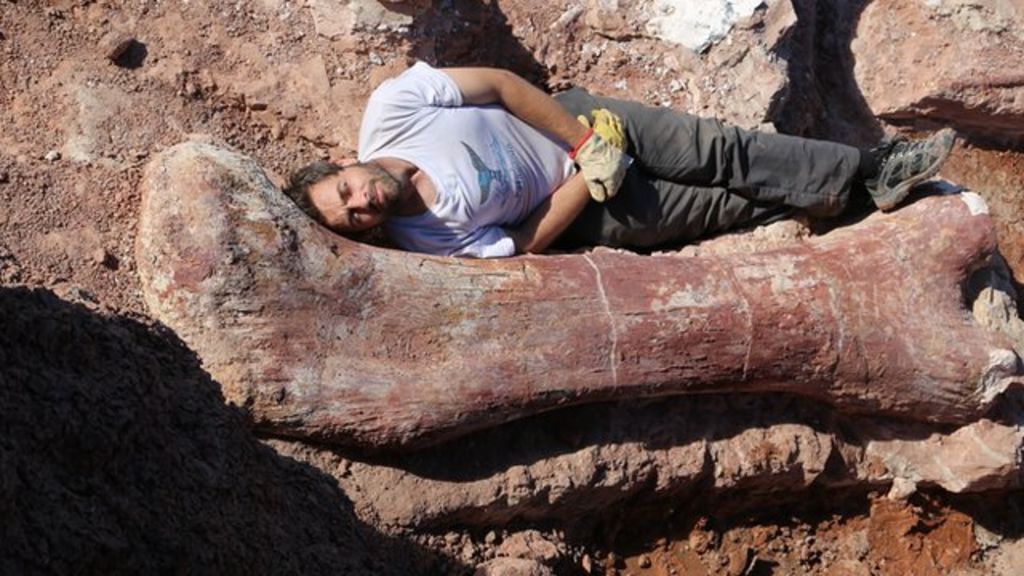 'Biggest dinosaur ever' discovered in Argentina - BBC News