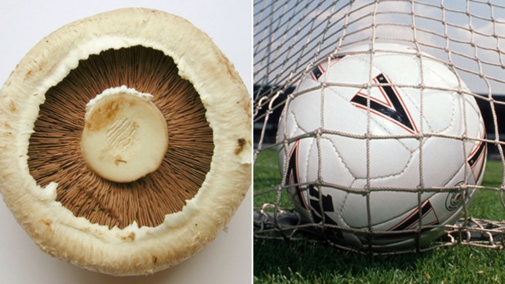 Bungay football crowd doubles with mushrooms 'incentive' BBC News
