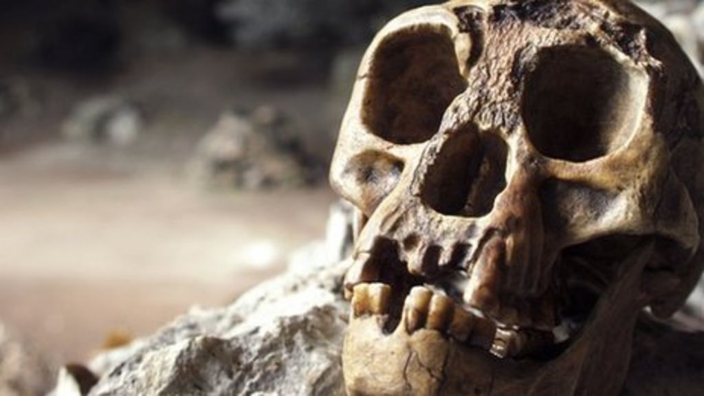 Hobbit find shows tiny humans shrank 'rapidly'