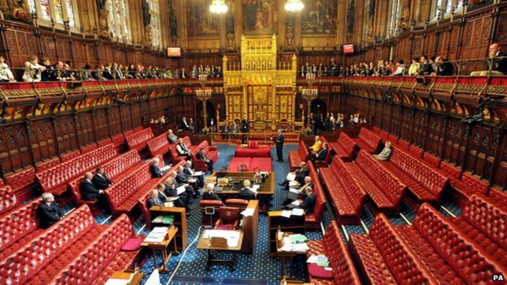 New Hereditary Peer Elected To House Of Lords BBC News