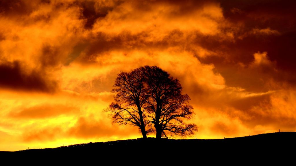 UK's Warmest Year On Record Predicted - BBC News