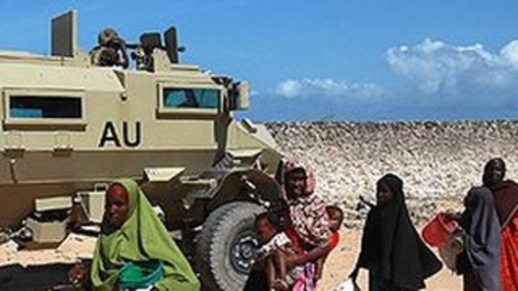 Profile African Union BBC News