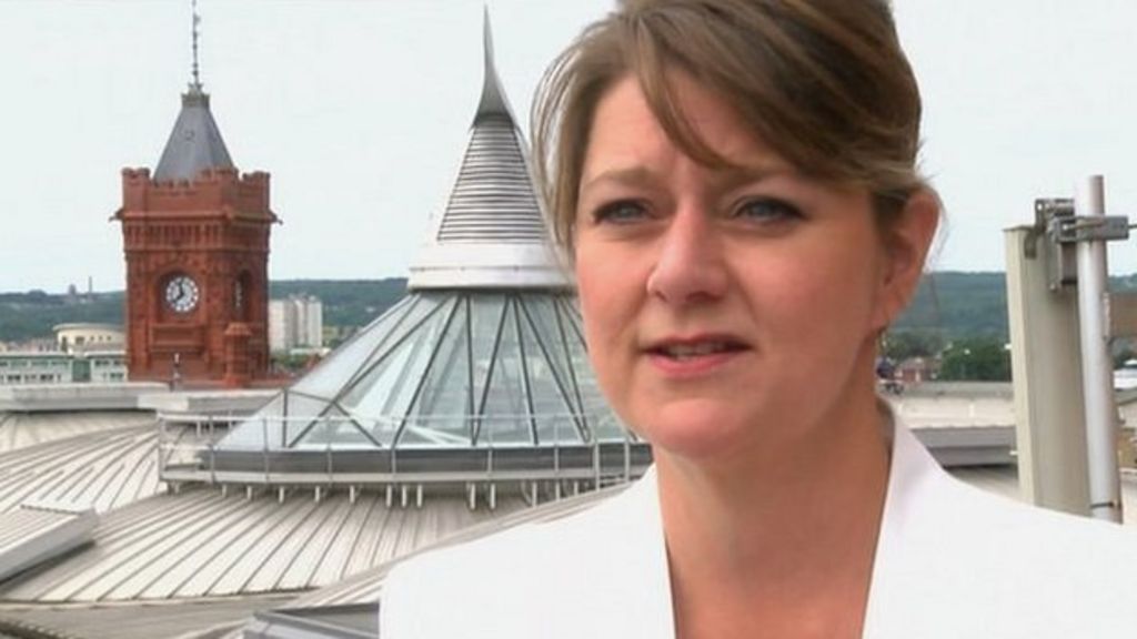 Plaid leader denies party split