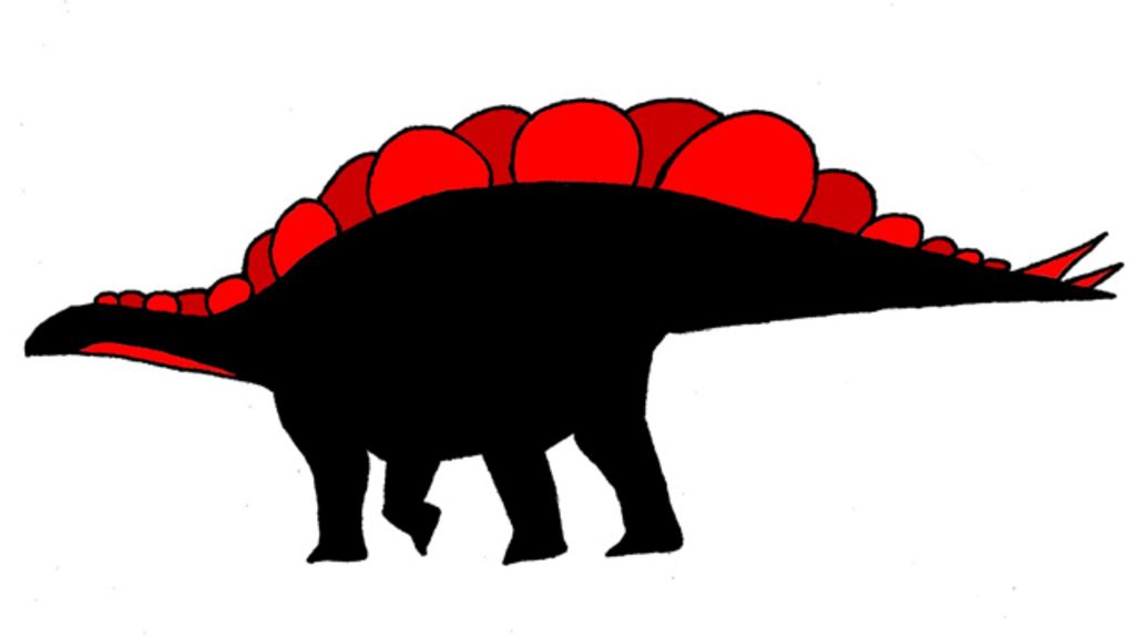 Graveyard clue to stegosaur plates