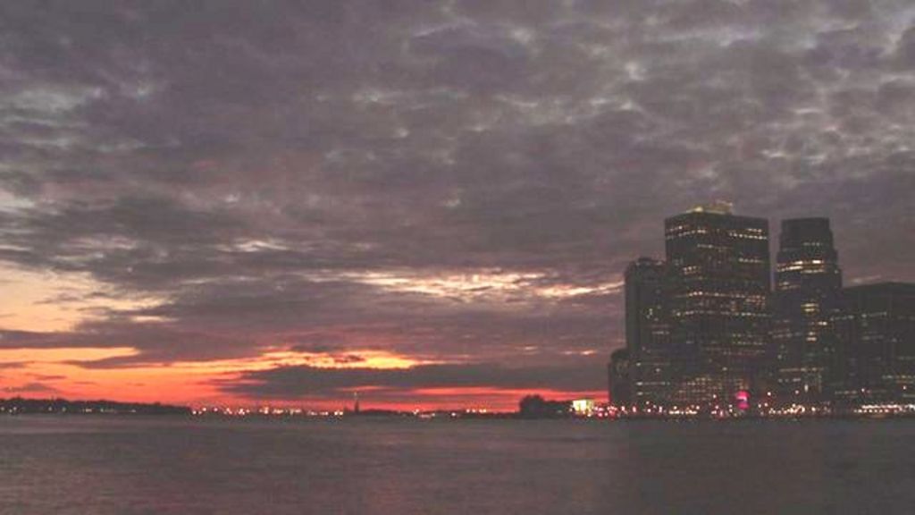 VIDEO: New York turns lights off for birds