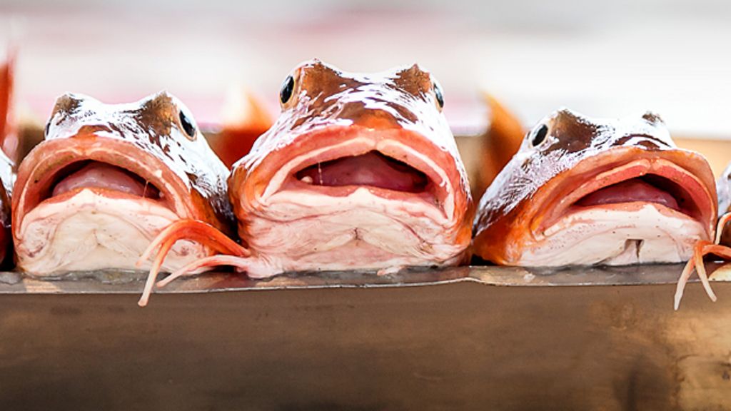 Food Photographer of the Year 2015 - BBC News