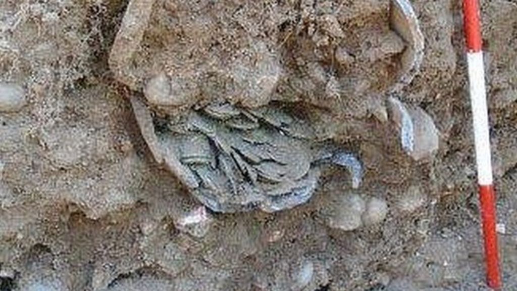 Roman coin hoard unearthed at Reading primary school - BBC News