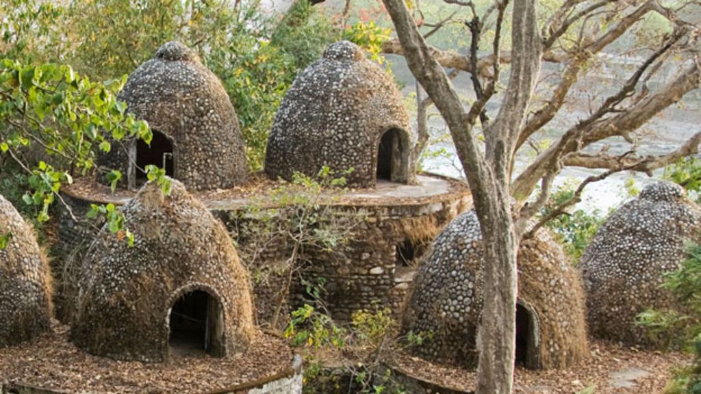 Forest swallows the Beatles' Indian retreat