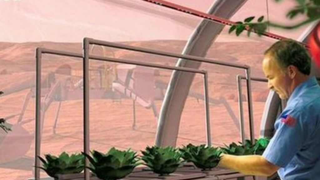 VIDEO: New ways to grow food in space