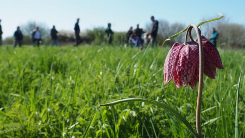 Conservation area given cash boost