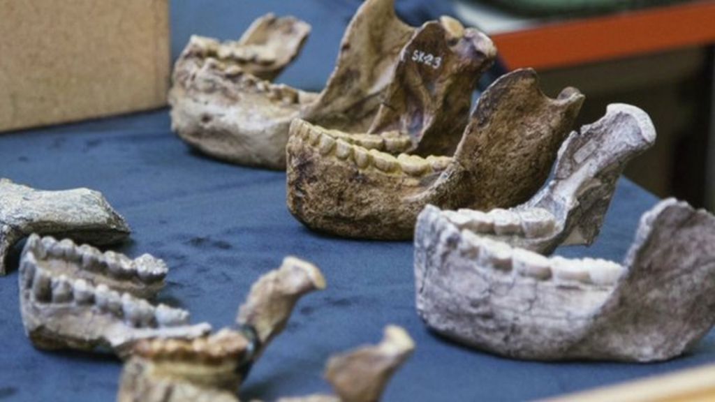 VIDEO: 'New species' of ancient human unearthed