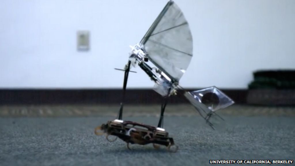 VIDEO: Robotic roach acts as aircraft carrier