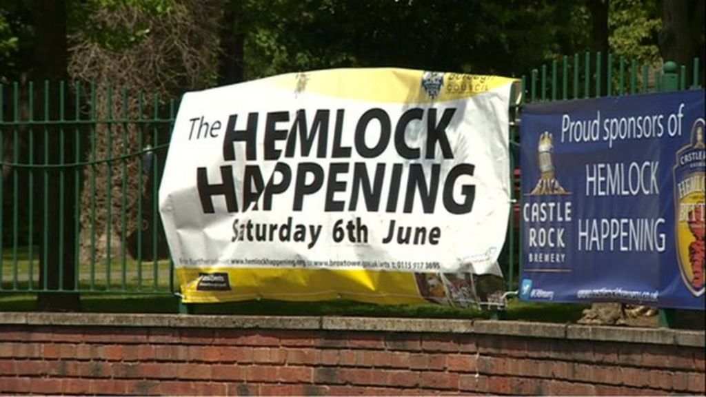 Fighting shuts down family fun day
