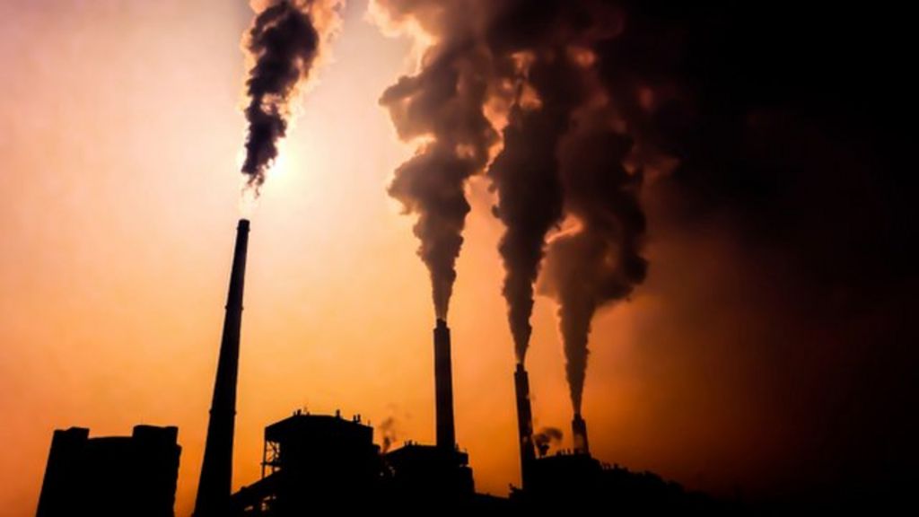 Can the divestment movement tame climate change?