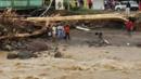 Fallen tree and floodwaters in Dominica