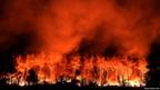 At night, a forest lit bright orange by fire sends huge plumes of smoke into the air