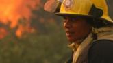 Firefighters battle to control a bushfire in Cape Town's Tokai forest