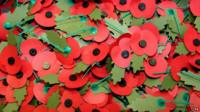 Poppies