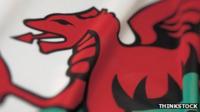 Baner Cymru