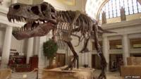 T-Rex