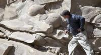 A man looking at dinosaur eggs