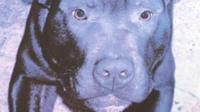 Lennox