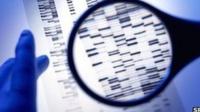 DNA