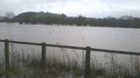 Fe wnaeth Afon Tywi orlifo ei glannau ddydd Sadwrn yng Nghaerfyrddin