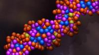 A graphic of DNA