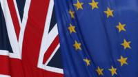 EU flag