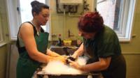 RSPCA staff washing a bird