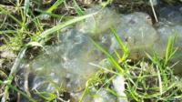 Weird slime