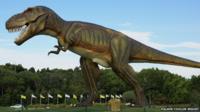 Dinosaur