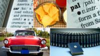 Composite of dictionary terms referred to in piece: car (dictionary definition and picture); bowl of nachos; the word "pal", and a set of volumes from the OED