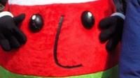 Mr Urdd