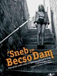 Sneb yn Becso Dam