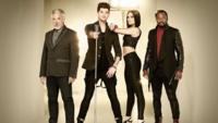The Voice coaches