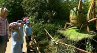 Kids come face-to-face with one of the huge bugs!