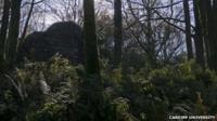 Parc Bryncir