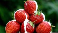 Strawberries with cream on