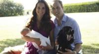 The Duke and Duchess of Cambridge pose with their son, Prince George and dogs, Lupo and Tilly.